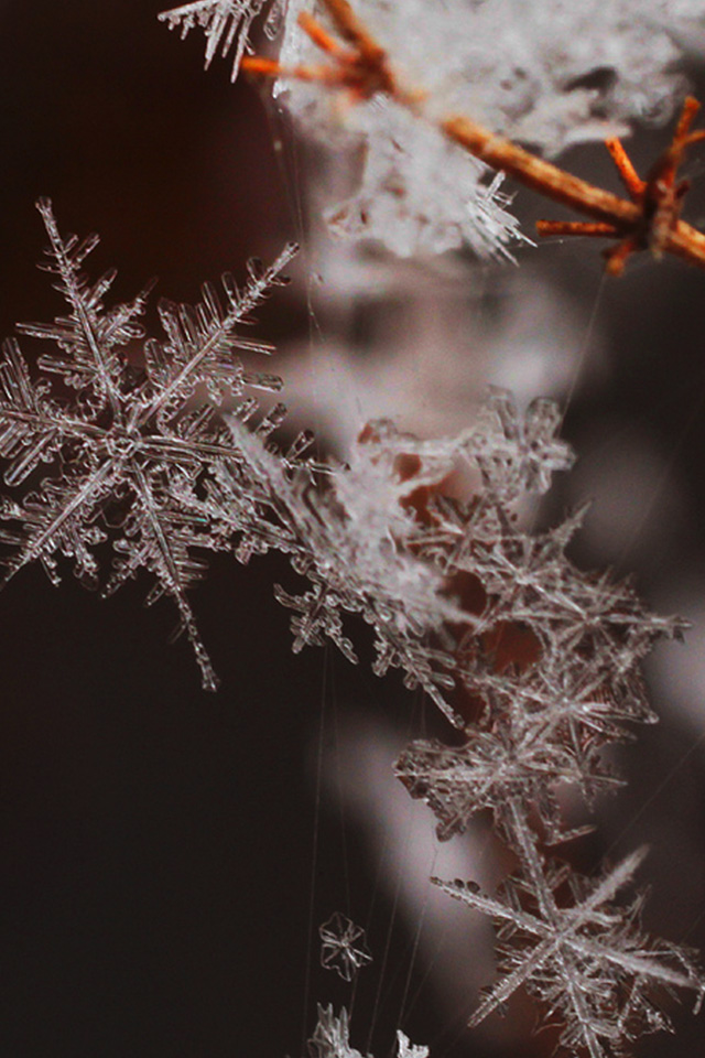 雪の結晶 壁紙 高画質